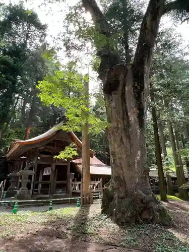 諏訪大社(長野県)