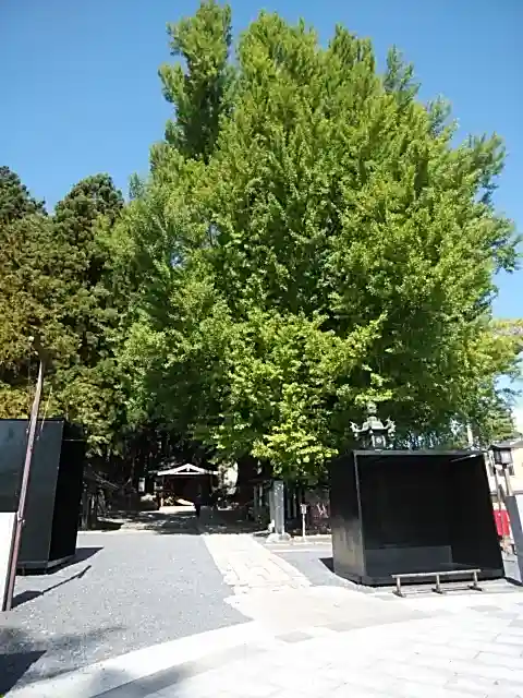 熊野大社のその他建物