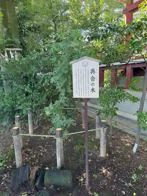 川越八幡宮(埼玉県)