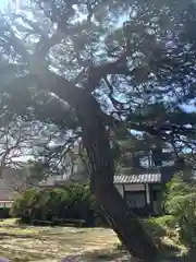 瑠璃寺(長野県)