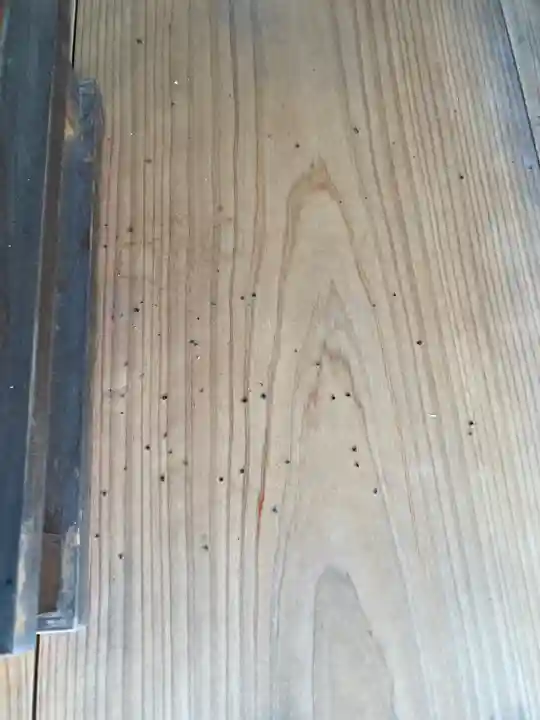 福田寺(兵庫県)