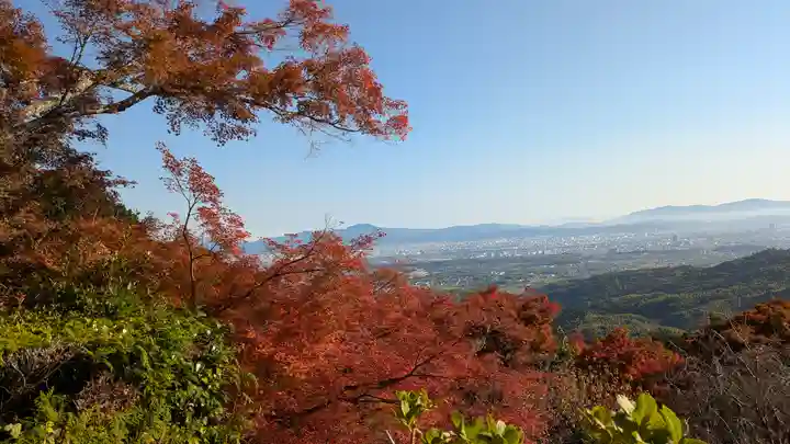 善峯寺(京都府)