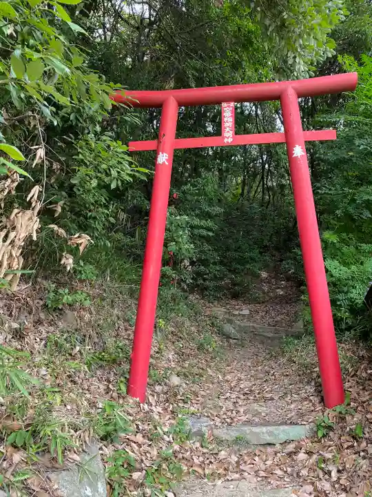 空幣稲荷大明神の鳥居