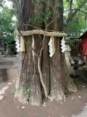 秩父神社(埼玉県)