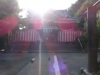 若宮八幡宮 の本殿・本堂