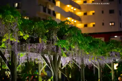 亀戸天神社(東京都)