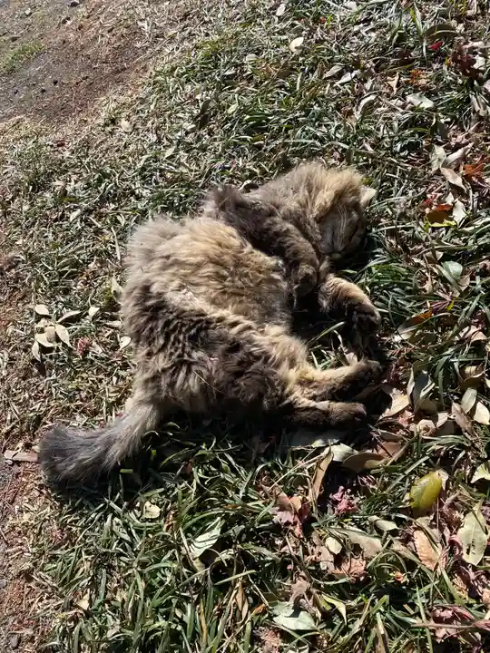 唐澤山神社(栃木県)