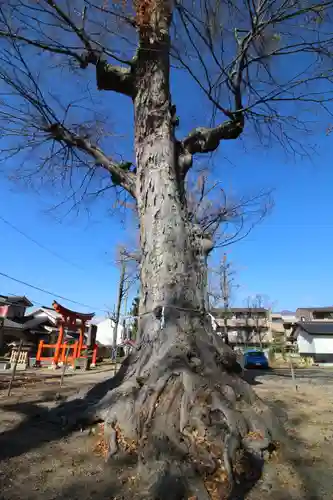 科野大宮社(長野県)