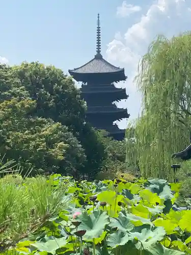 東寺（教王護国寺）の塔