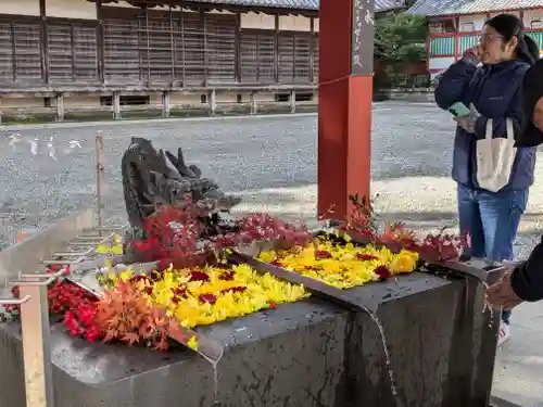 美濃國一宮　南宮大社(岐阜県)