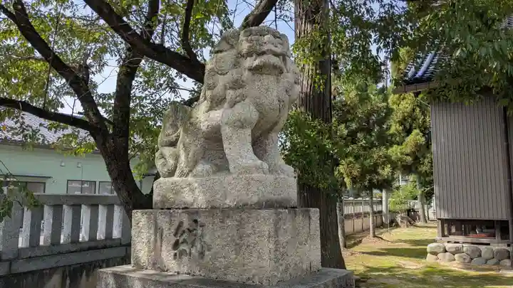 四ツ柱神社の狛犬