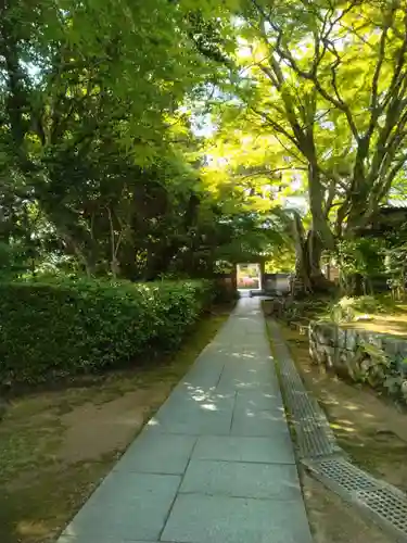 花山院菩提寺(兵庫県)