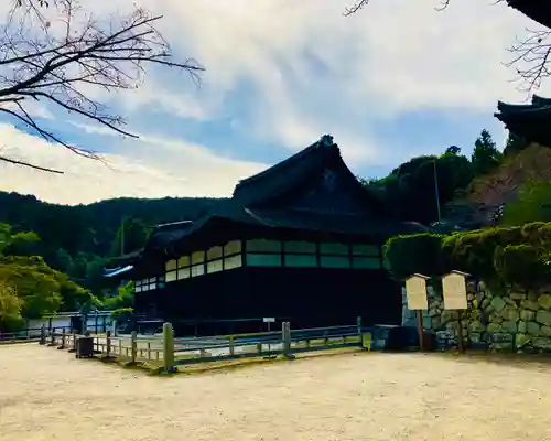 園城寺（三井寺）の建物その他