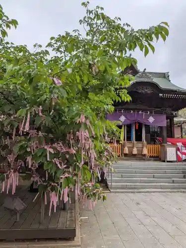 桜神宮(東京都)