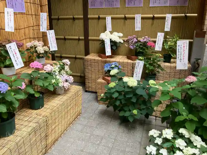十番稲荷神社の{uncategorized: "未分類", other: "その他", undefined: "問題あり", building: "その他建物", grave: "お墓", sacred_gate: "鳥居", guardian: "狛犬", statue: "像", buddha: "仏像", history: "歴史", nature: "自然", garden: "庭園", animal: "動物", pagoda: "塔", temizu: "手水舎", mountain_gate: "山門・神門", sanctuary: "本殿・本堂", subordinate: "末社・摂社", art: "芸術", scenery: "景色", jizo: "地蔵", ema: "絵馬", goshuin: "御朱印", omikuji: "おみくじ", items: "授与品その他", amulet: "お守り", goshuincho: "御朱印帳", eats: "食事", festival: "お祭り", votive_dance: "神楽", shichigosan: "七五三参", wedding: "結婚式", experience: "体験その他", initially: "初詣", around: "周辺", anti_infection: "感染症対策"}