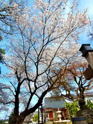 長寿院(福島県)