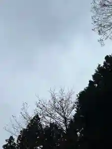 大宮温泉神社(栃木県)(2023年12月03日(日) 08時20分21秒投稿)