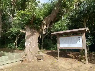 鎌数伊勢大神宮(千葉県)