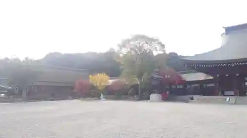 橿原神宮(奈良県)