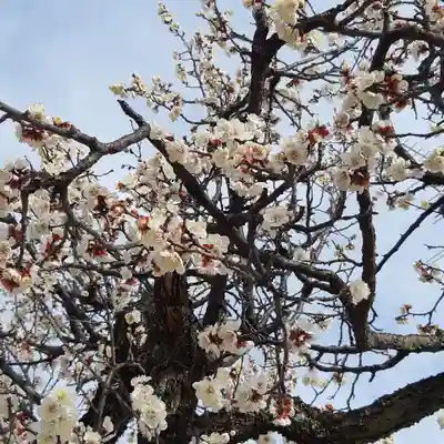 長流寺(千葉県)