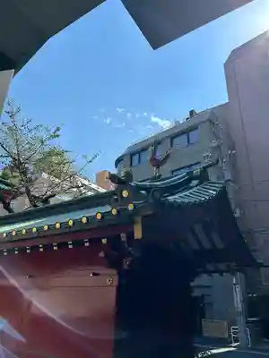 神田神社（神田明神）の狛犬