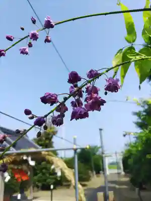 四天木稲生神社(千葉県)