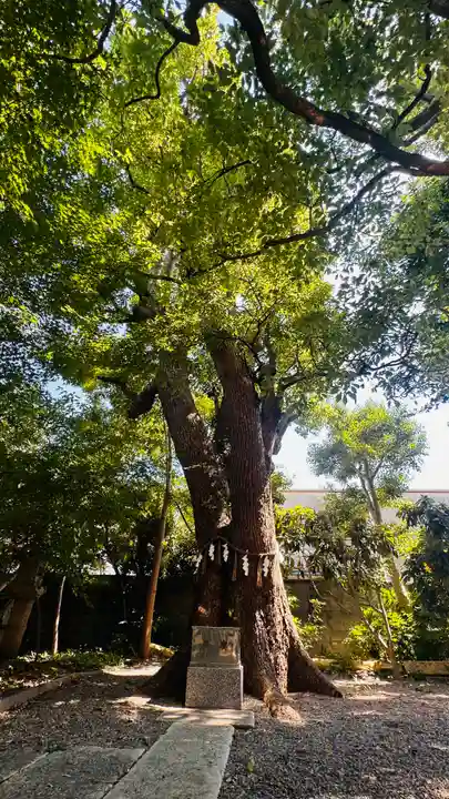 高龗神社・脇浜戎大社(大阪府)