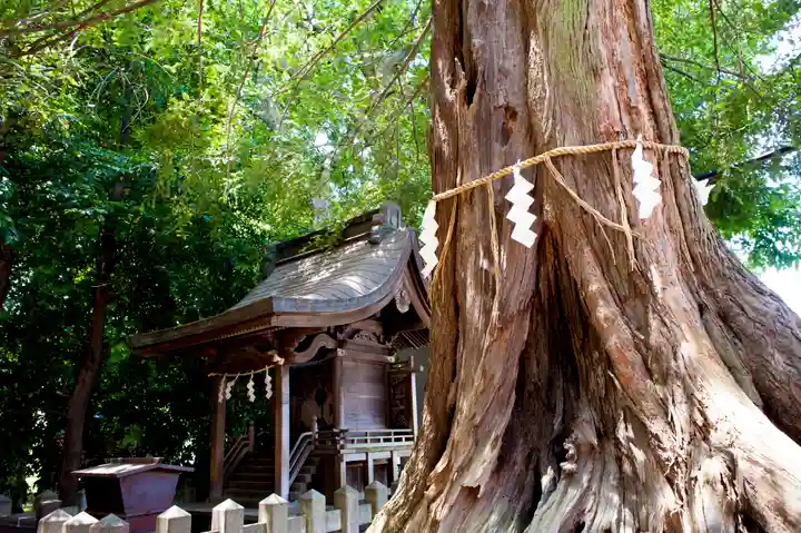 諏訪神社の自然