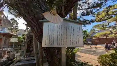 智恩寺(京都府)