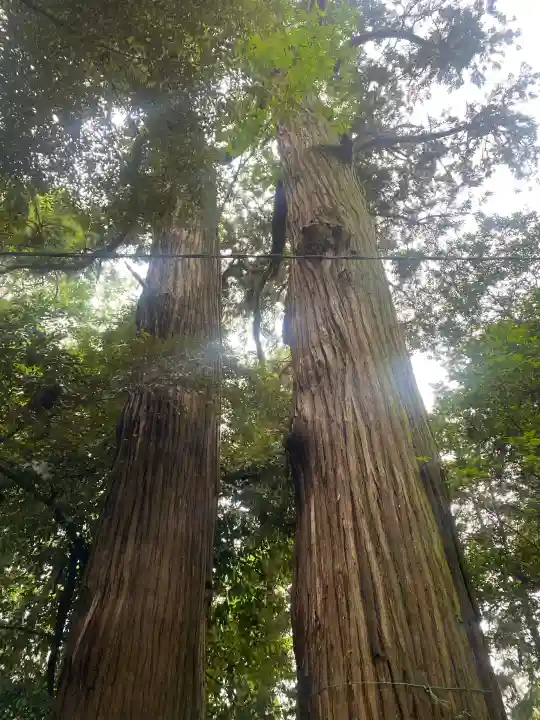 日吉神社(千葉県)