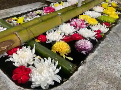 潮音寺(愛知県)