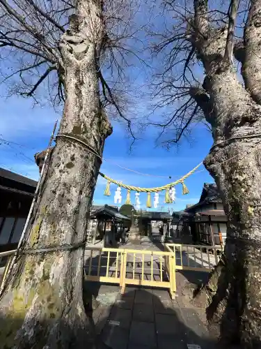 熊野宮(東京都)