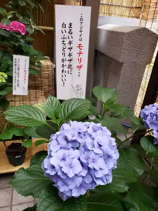 十番稲荷神社の自然