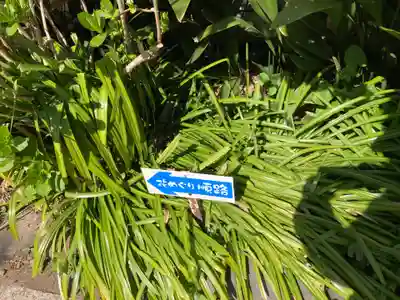 光照寺(神奈川県)