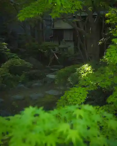 白山神社(新潟県)