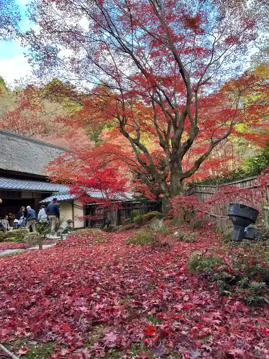 教林坊(滋賀県)