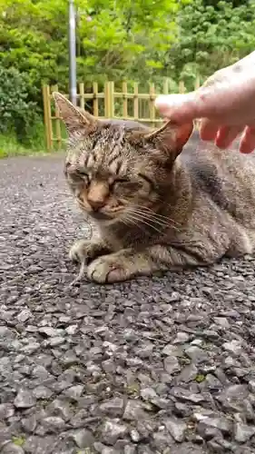白金氷川神社(東京都)