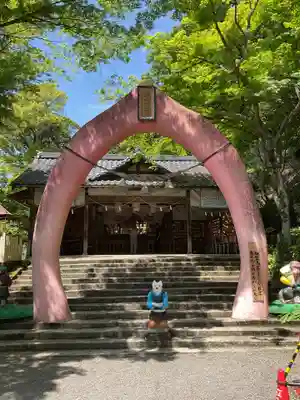 桃太郎神社（栗栖）(愛知県)