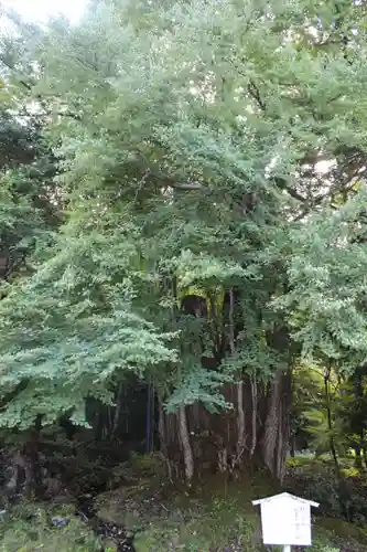 中禅寺(栃木県)