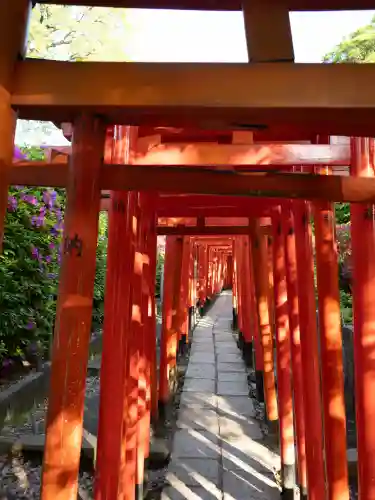 乙女稲荷神社の{uncategorized: "未分類", other: "その他", undefined: "問題あり", building: "その他建物", grave: "お墓", sacred_gate: "鳥居", guardian: "狛犬", statue: "像", buddha: "仏像", history: "歴史", nature: "自然", garden: "庭園", animal: "動物", pagoda: "塔", temizu: "手水舎", mountain_gate: "山門・神門", sanctuary: "本殿・本堂", subordinate: "末社・摂社", art: "芸術", scenery: "景色", jizo: "地蔵", ema: "絵馬", goshuin: "御朱印", omikuji: "おみくじ", items: "授与品その他", amulet: "お守り", goshuincho: "御朱印帳", eats: "食事", festival: "お祭り", votive_dance: "神楽", shichigosan: "七五三参", wedding: "結婚式", experience: "体験その他", initially: "初詣", around: "周辺", anti_infection: "感染症対策"}