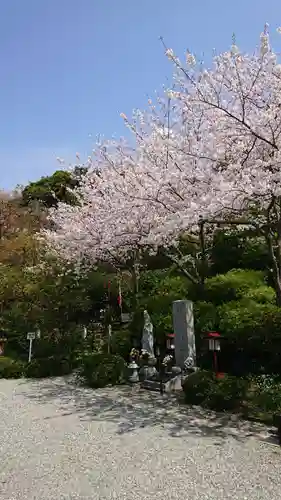 大船観音寺の自然