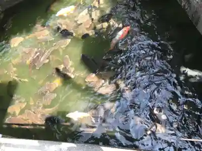 八大白龍大神(岐阜県)