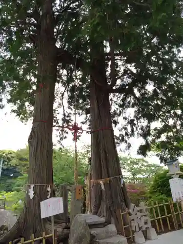 武雄神社(佐賀県)