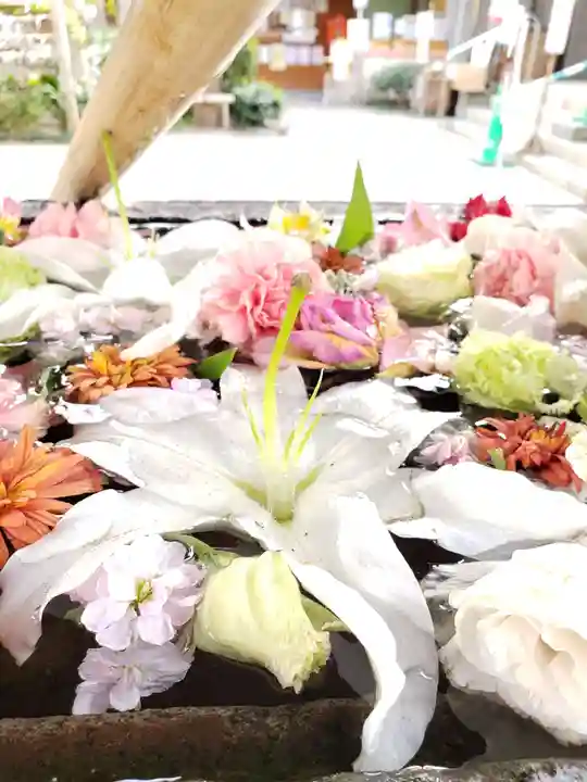 鳩森八幡神社(東京都)