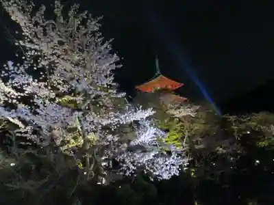 清水寺の塔
