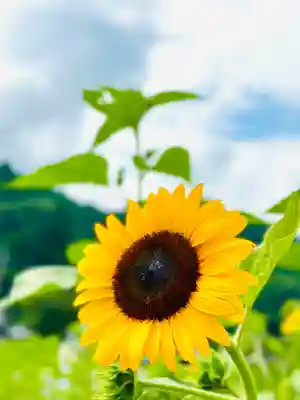 洲原神社(岐阜県)