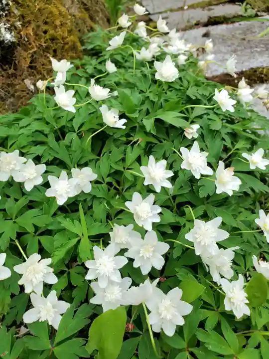 石都々古和気神社(福島県)