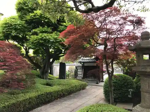 金剛寺の庭園