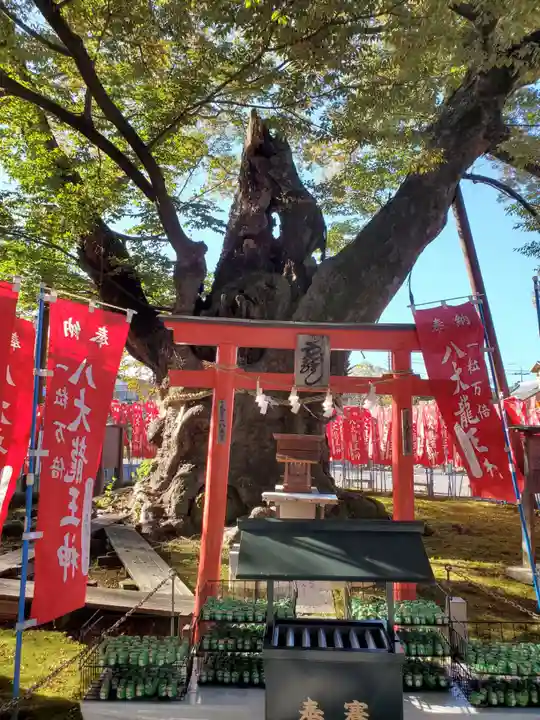 秩父今宮神社の鳥居