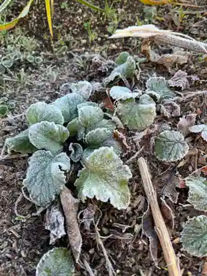大鏑神社(福島県)
